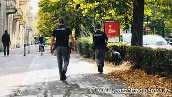 I cani poliziotto Irvin e Jago trovano "un fiume" di erba nei parchi pronta per lo spaccio - Gazzetta di Parma