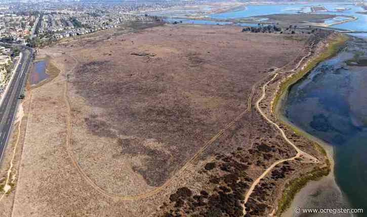 Bolsa Chica fire could have happy ending for the flora, fauna