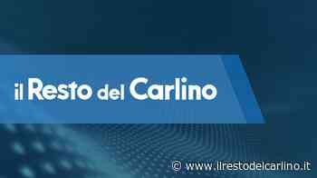 Un giocatore positivo a Urbino: rinviato il derby con l’Urbania - il Resto del Carlino