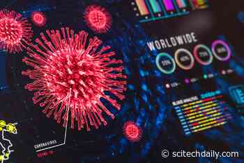 Closing Borders and Stopping the COVID-19 Virus: WHO & EU Were “Fatally Mistaken”