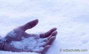 Early Human Species Likely Driven to Extinction by Climate Change