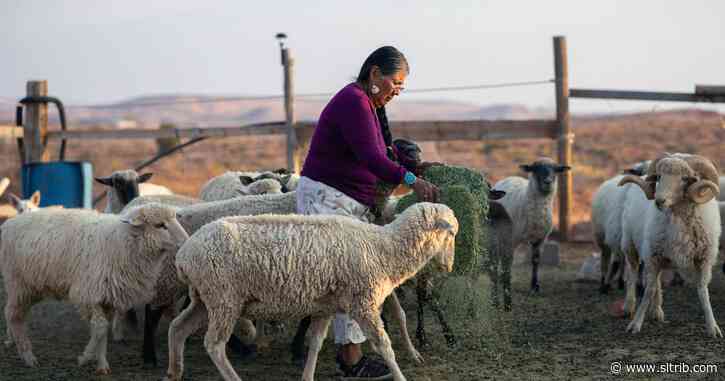 For the Navajo Nation, ‘everything takes time,’ including voting