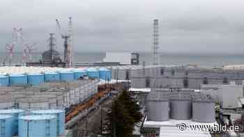 Fukushima: Japan will radioaktives Wasser aus Atomruine ins Meer leiten - BILD
