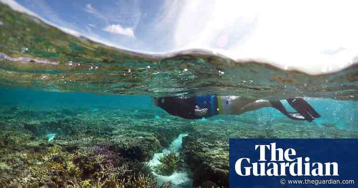 'We have to change Queensland': the environmental issues at stake in the election