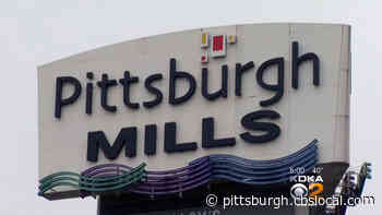 Shoppes At Pittsburgh Mills Going To Auction