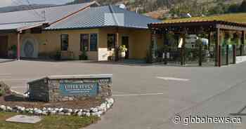 2019 Okanagan Riesling named B.C.’s wine of the year for 2020