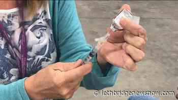 Flu shots available across Alberta beginning October 19 - Lethbridge News Now