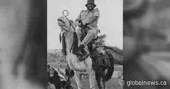 ‘I was stunned and elated’: former World Food Programme employee from Lethbridge reacts to Nobel Peace Prize - Global News