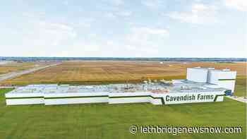 COVID-19 outbreak at Lethbridge Cavendish plant, 12 employees test positive - Lethbridge News Now