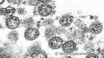 Northwest Territories reports three presumptive positive cases of COVID-19 - Lethbridge News Now