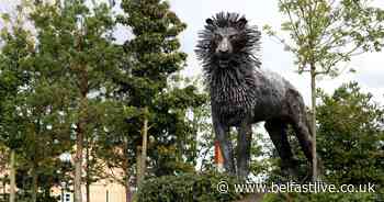This is how Belfast honoured CS Lewis' The Lion, the Witch and the Wardrobe's 70th anniversary - Belfast Live
