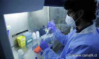 Preocupan aumento de casos Covid -19 en Lota y Coronel - Canal 9 Bío Bío Televisión