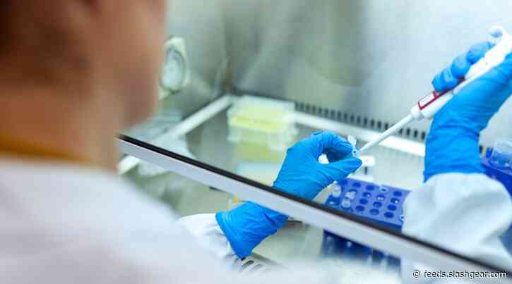 Pfizer CEO says don’t expect COVID-19 vaccine EUA until after election