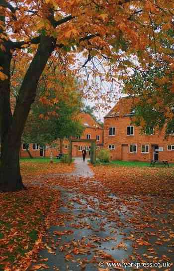 Covid-19 at University of York: student speaks out