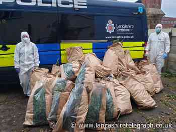 £90K worth of drugs found at 'sophisticated' cannabis farm in Darwen
