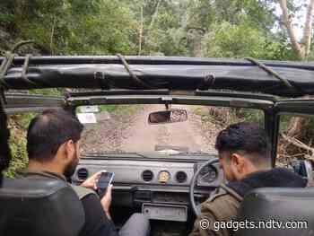 Locus in Focus: One Scientist's Story About Navigating in the Wild