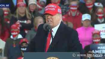 Trump says at Michigan Rally, Pushing Around Protesters a "Beautiful Thing"