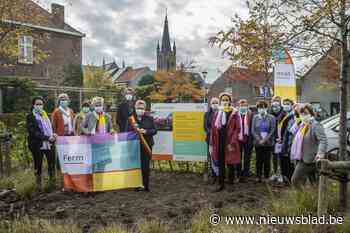 Eerste troostplek in Lichtervelde geopend: “Iedereen kan hier een bloembol planten”