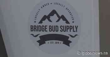 ‘It’s changed so much’: Alberta cannabis retailers, growers reflect on success as legal industry turns 2