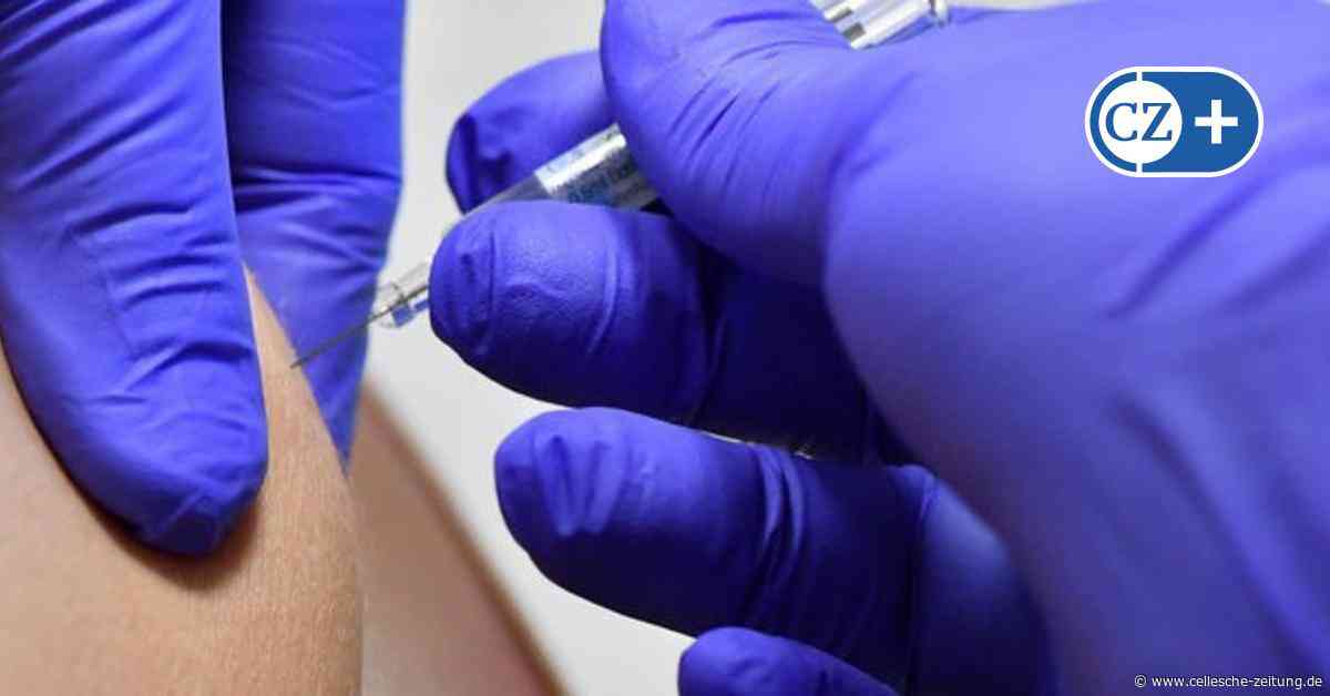 Grippeschutz und Corona: Darum kommt es in Celle zu Engpässen bei Impfstoff - Cellesche Zeitung