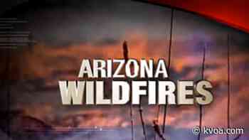 Firefighters battling Race Track Fire near Redington Pass