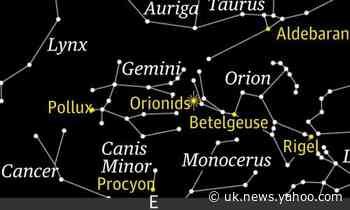 Starwatch: how to see the Orionid meteor shower