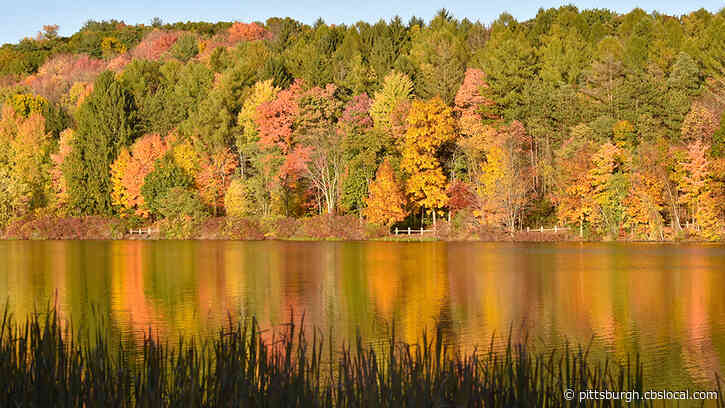 Some Fall Colors Have Peaked In W. Va., But More Colors Are Expected To Peak Soon