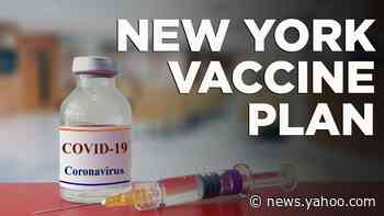 Cuomo unveils vaccine plan for New Yorkers