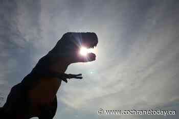 COLUMN: Drumheller: Dinosaur Country - Cochrane Today