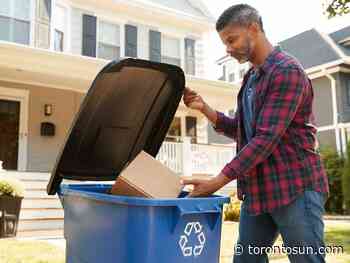 ASK AMY: Household needs a recycling czar - Toronto Sun