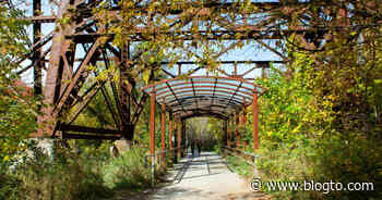 Charles Sauriol Conservation Area is home to Toronto's most picturesque underpass - blogTO