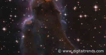 Take a peek at a stellar nursery with this Hubble image