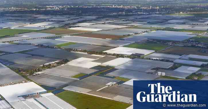 Vast majority of Europe's key habitats in poor or bad condition – report