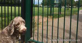 Dogs banned completely from Bristol park