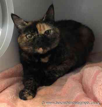 Could you give these animals a new home?