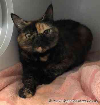 Could you give these animals a new home?