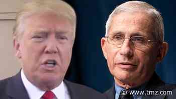Trump Calls Dr. Fauci an 'Idiot' After Fauci's '60 Minutes' Interview