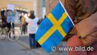 BILD im hohen Norden: Schweden in Corona-Zeiten – eine Bestandsaufnahme - BILD