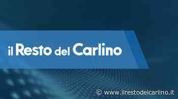 United lotta e supera Oderzo: al Boschetto 26-23 - il Resto del Carlino