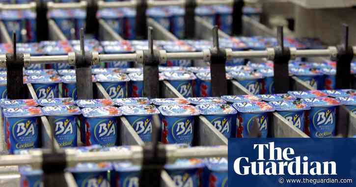 French dairy giant accused of polluting country's famous rivers for years