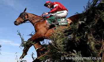 Double Grand National Winner Tiger Roll could make seasonal debut at Down Royal on October 31