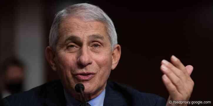 Trump reportedly slammed Anthony Fauci as 'a disaster' on a campaign phone call