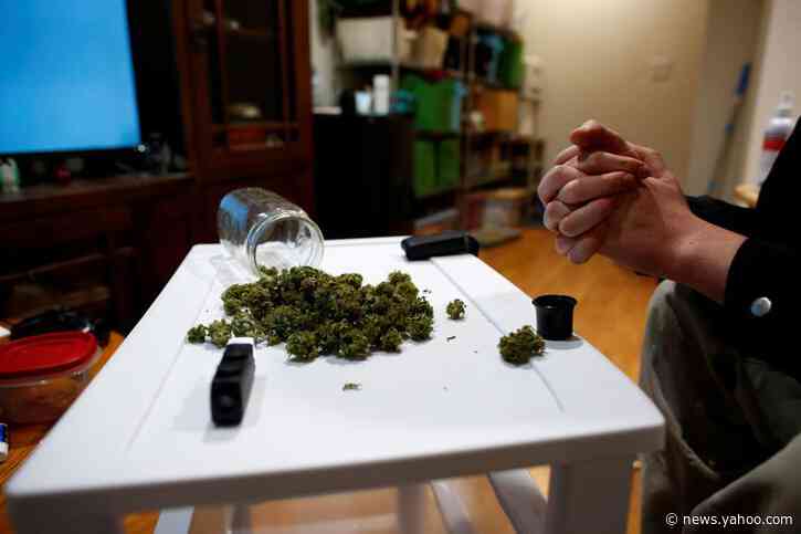 Montana federal prosecutor warns of dangers of pot legalization ahead of vote