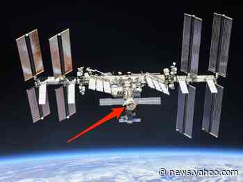 Space-station crew members just found an elusive air leak by watching tea leaves float in microgravity