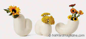 Gifts for the arts - Harvard Magazine