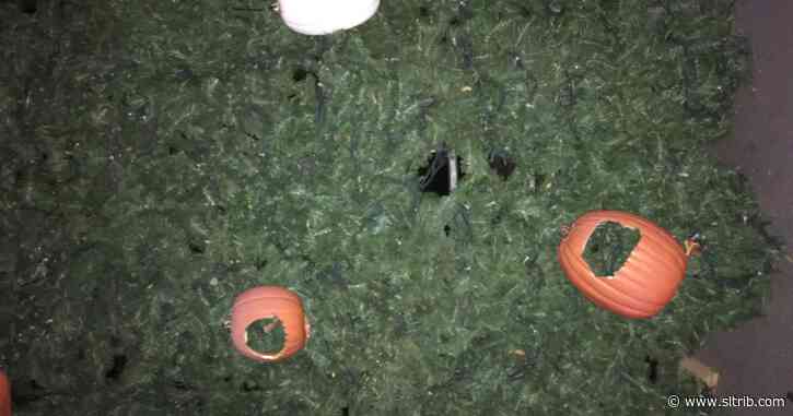 Fraternity members accused of vandalizing Hogle Zoo’s Halloween exhibit