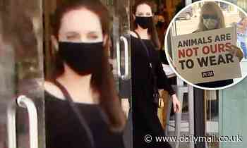 Angelina Jolie and son Pax encounter animal rights protest