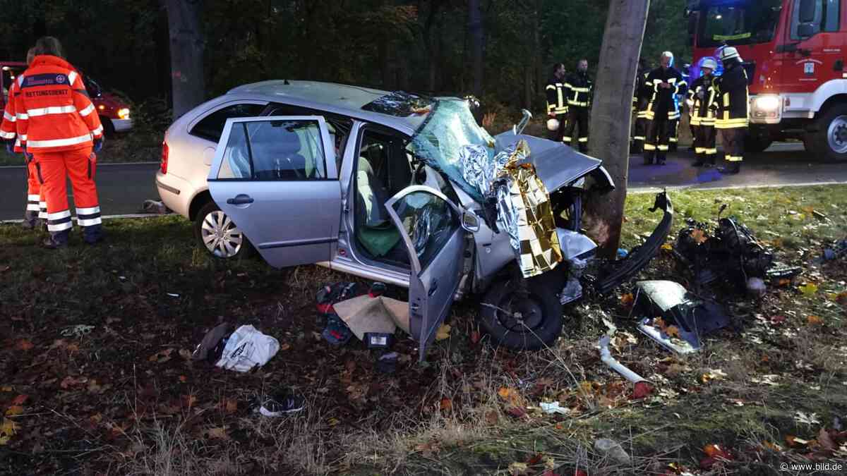 Gardelegen (Sachsen-Anhalt): Beifahrer stirbt bei Baumcrash - BILD