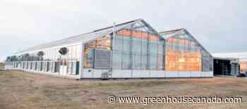 News Greenhouses Research Investment supports transition of Brooks Greenhouse to Lethbridge College - Greenhouse Canada
