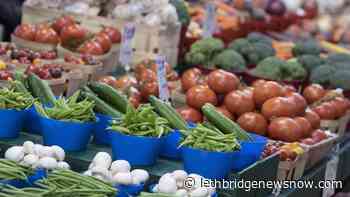 City of Lethbridge celebrates Waste Reduction Week with leftovers challenge - Lethbridge News Now